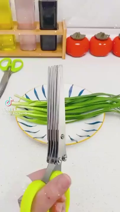 Best 5-Blade Herb Scissor