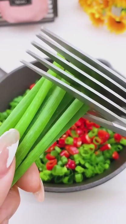 Best 5-Blade Herb Scissor